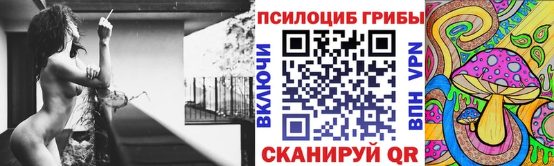 МЕГА зеркало  Обоянь  сайты даркнета официальный сайт  Псилоцибиновые грибы Psilocybe 