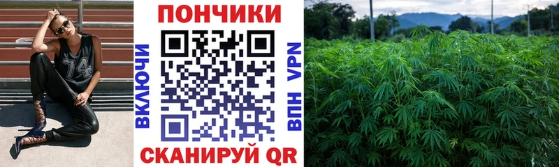 Каннабис OG Kush где найти Обоянь